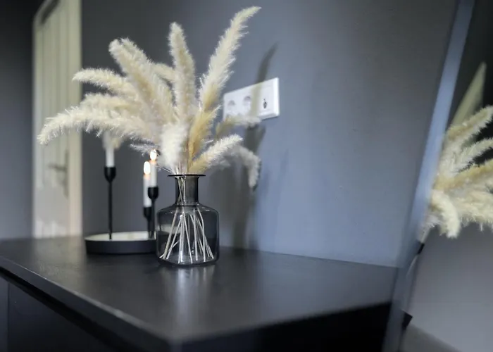 Birmingham 公寓 策勒